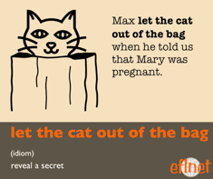 Let the Cat Out of the Bag