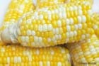 corn on the cob